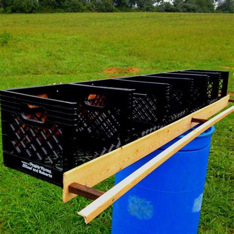 rural king chicken nesting boxes